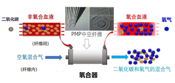 Oxygenator Leakage Test